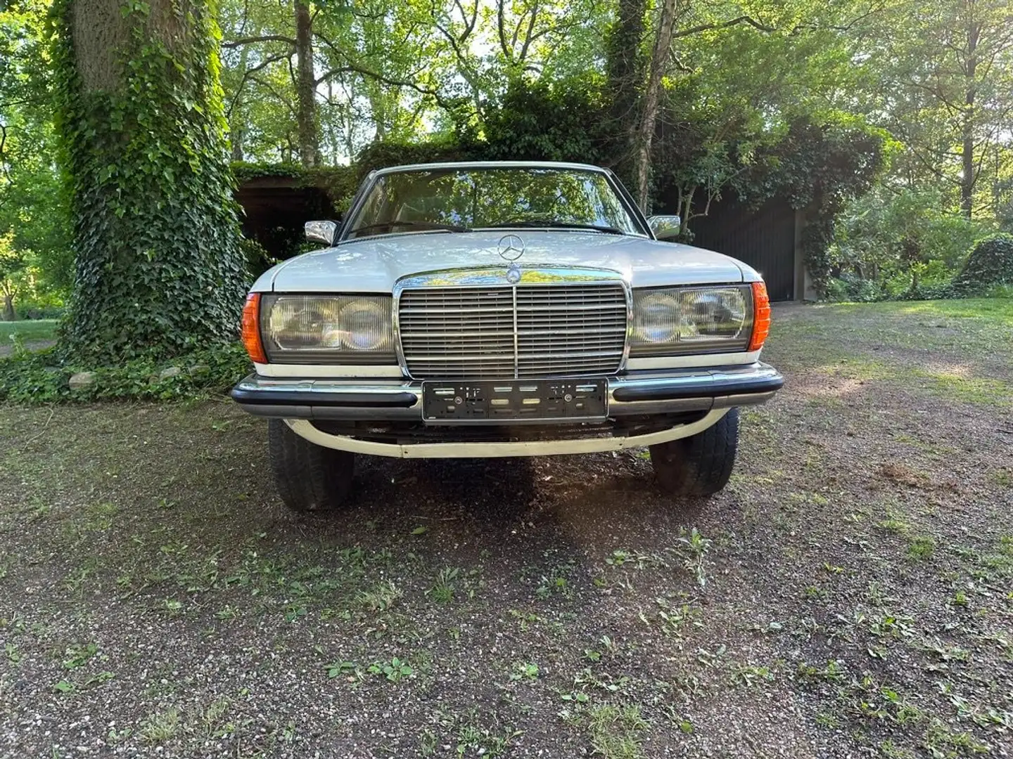Mercedes-Benz CE 230 Baureihe 123 Alb - 2