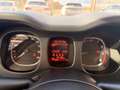 Fiat Panda Panda III Cross 1.0 firefly hybrid S&S Blu/Azzurro - thumbnail 17