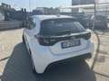 Toyota Yaris Yaris 1.5 Hybrid 5 porte Buisness Blanc - thumbnail 6