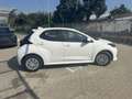 Toyota Yaris Yaris 1.5 Hybrid 5 porte Buisness Blanc - thumbnail 4