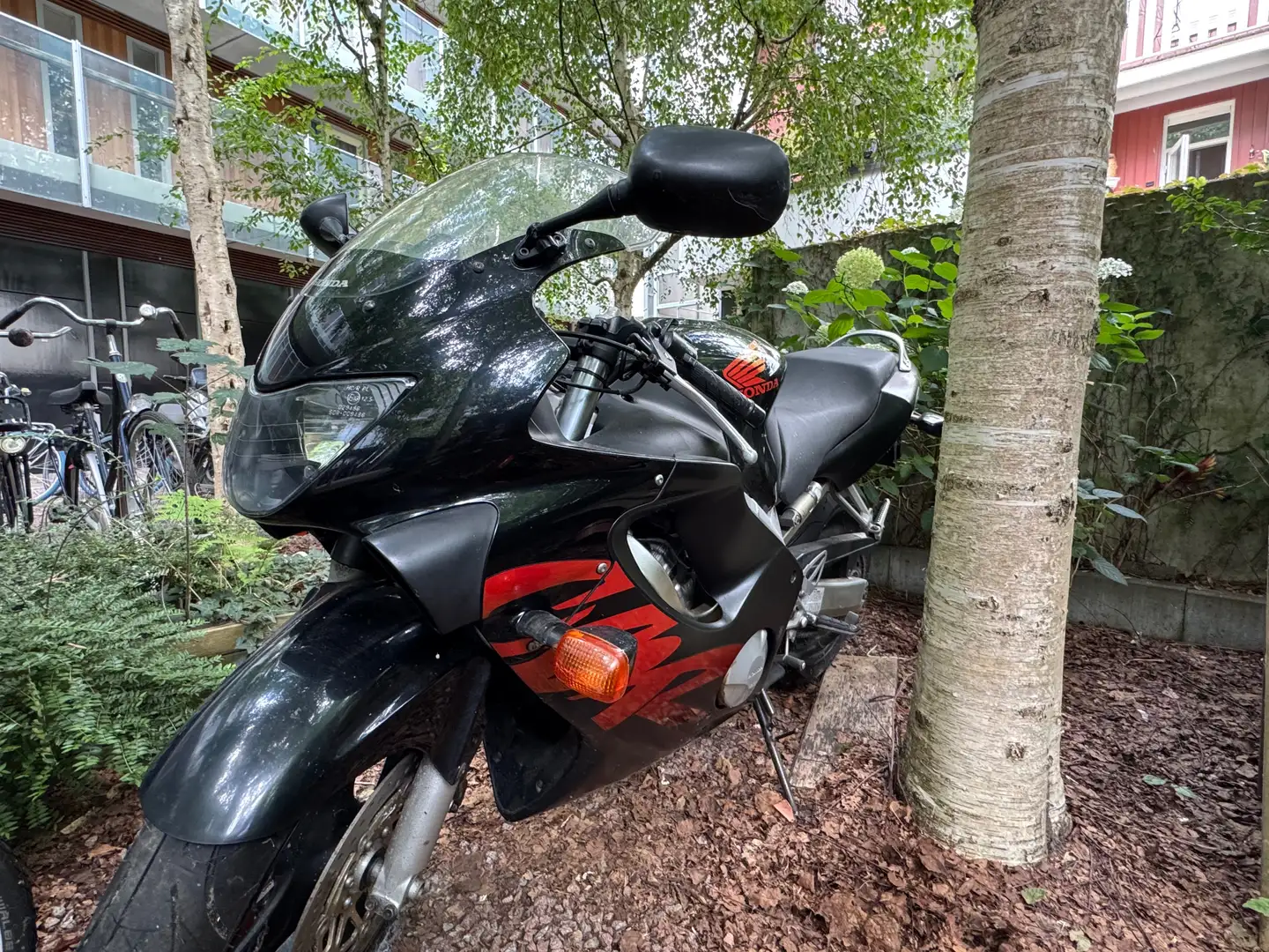 Honda CBR 600 Rood - 1