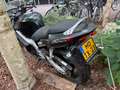 Honda CBR 600 Rood - thumbnail 5