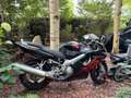 Honda CBR 600 Rood - thumbnail 2