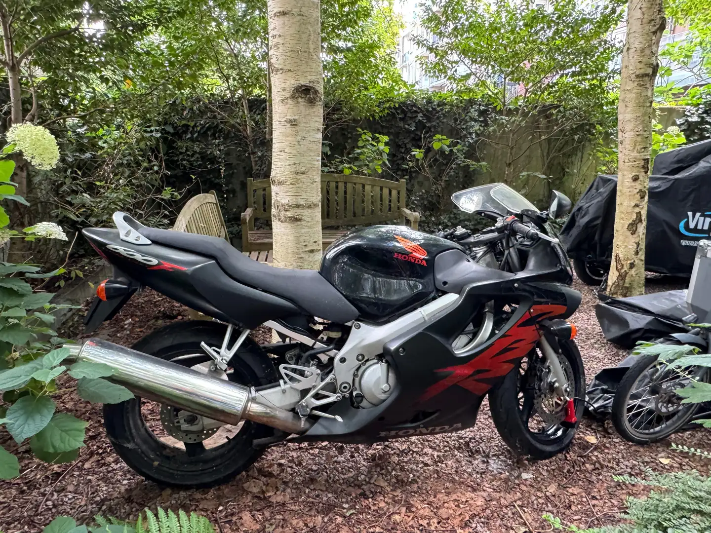 Honda CBR 600 Rood - 2