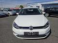 Volkswagen Golf R abbit 40 1,5 TSI EVO ACT DSG Weiß - thumbnail 10