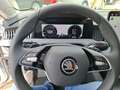 Skoda Superb 2.0TDI110kW Selection ,DSG ,Standort Geldern Silber - thumbnail 10