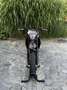KTM 690 SMC R Negru - thumbnail 3