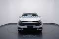 Kia Sportage 1.6 CRDi 136cv MHEV DCT Business N1 Grau - thumbnail 2