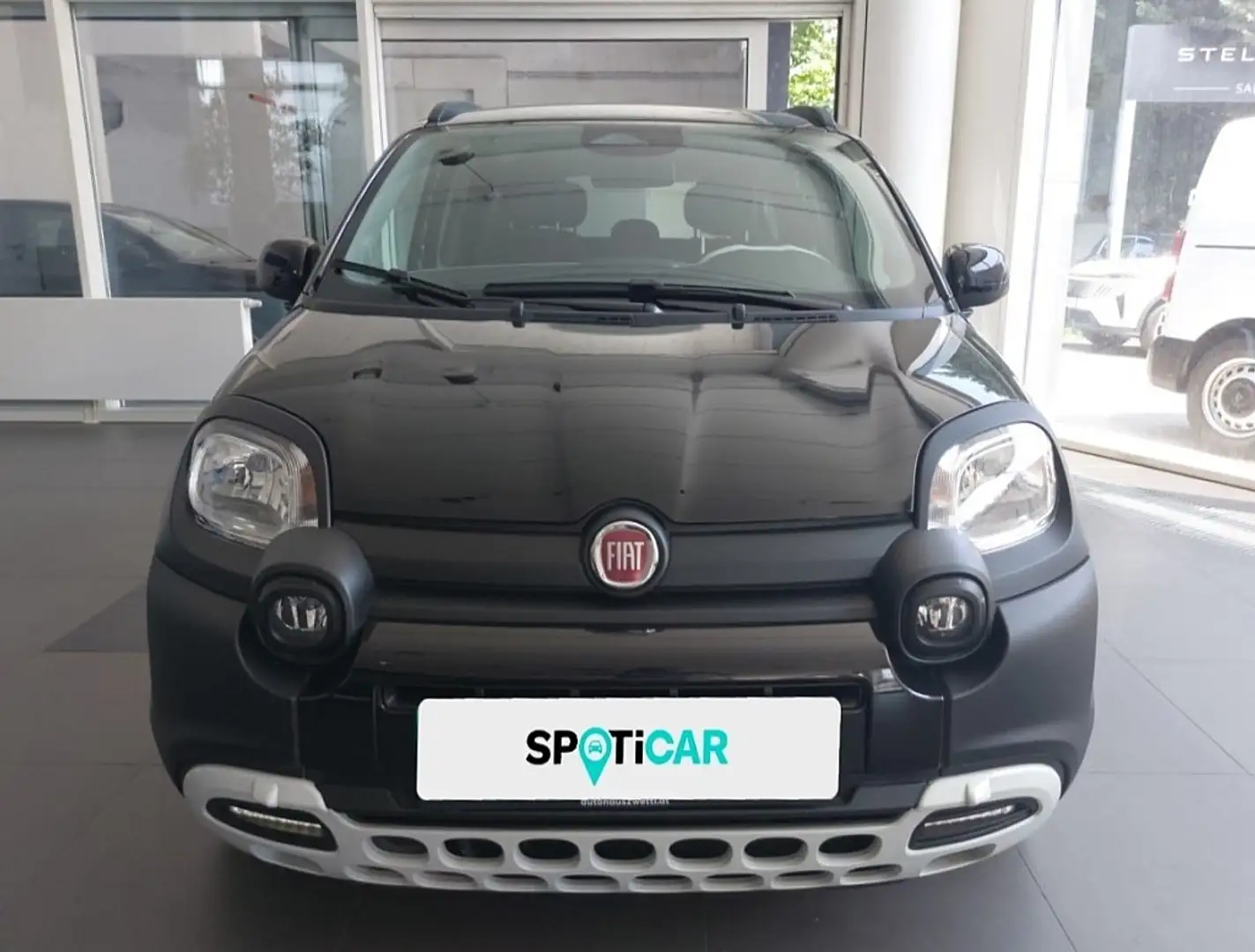 Fiat Panda 4x2 FireFly Hybrid 70 Pandina Zwart - 2