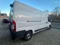 Fiat Ducato serie 2 MY25 GESLOTEN BESTELWAGEN Blanc - thumbnail 8