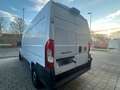 Fiat Ducato serie 2 MY25 GESLOTEN BESTELWAGEN Blanc - thumbnail 7