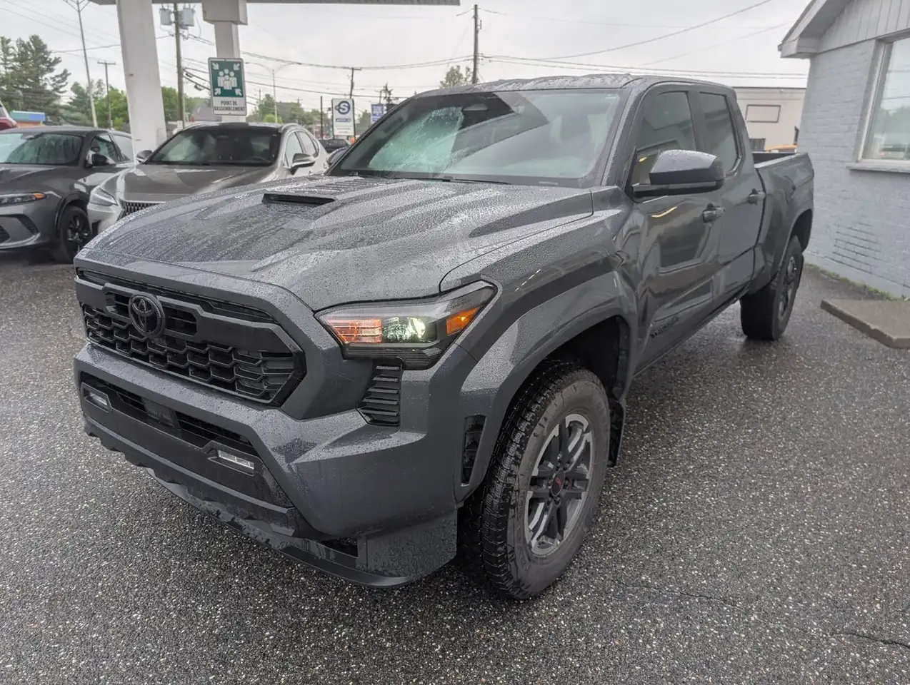Toyota Tacoma fotografie Toyota Tacoma