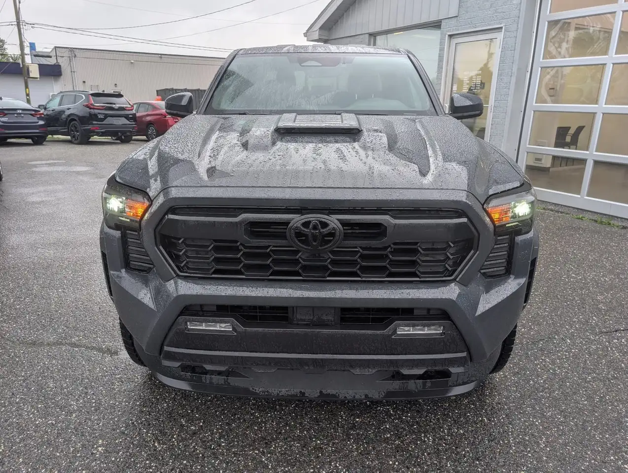 Toyota Tacoma fotografie Toyota Tacoma