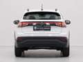 Volkswagen Taigo 1.0 TSI Life Edition Wit - thumbnail 9