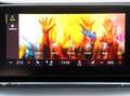 Skoda Octavia Combi RS iV 245 DSG*VIRTUELL*NAVI*LEDER*LED*HEA... Grau - thumbnail 12