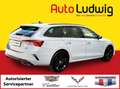 Skoda Octavia Combi RS iV 245 DSG*VIRTUELL*NAVI*LEDER*LED*HEA... Grau - thumbnail 2