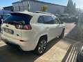 Jeep Cherokee Cherokee V  2.2 mjt Overland 4wd  drive II auto Bianco - thumbnail 4