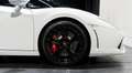 Lamborghini Gallardo LP560-4 IMMAT France LIFT Sièges chauffants 953E-MOIS Weiß - thumbnail 8