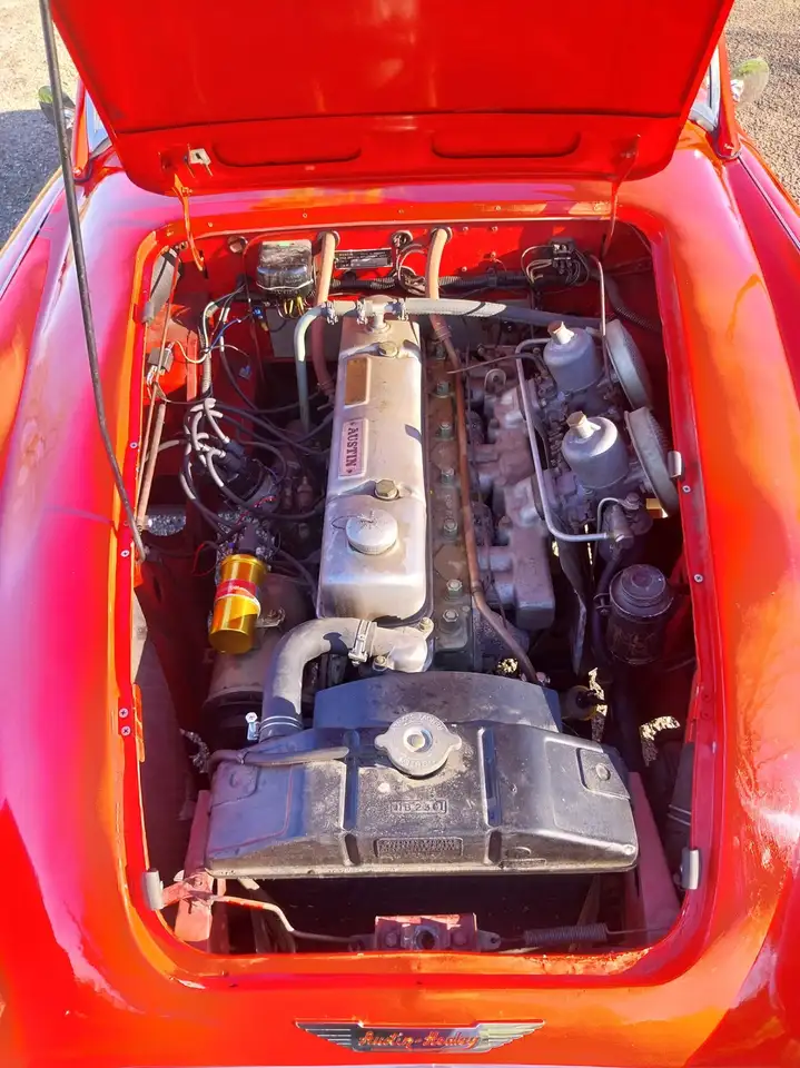 Austin-Healey 3000 BT7, foto 12