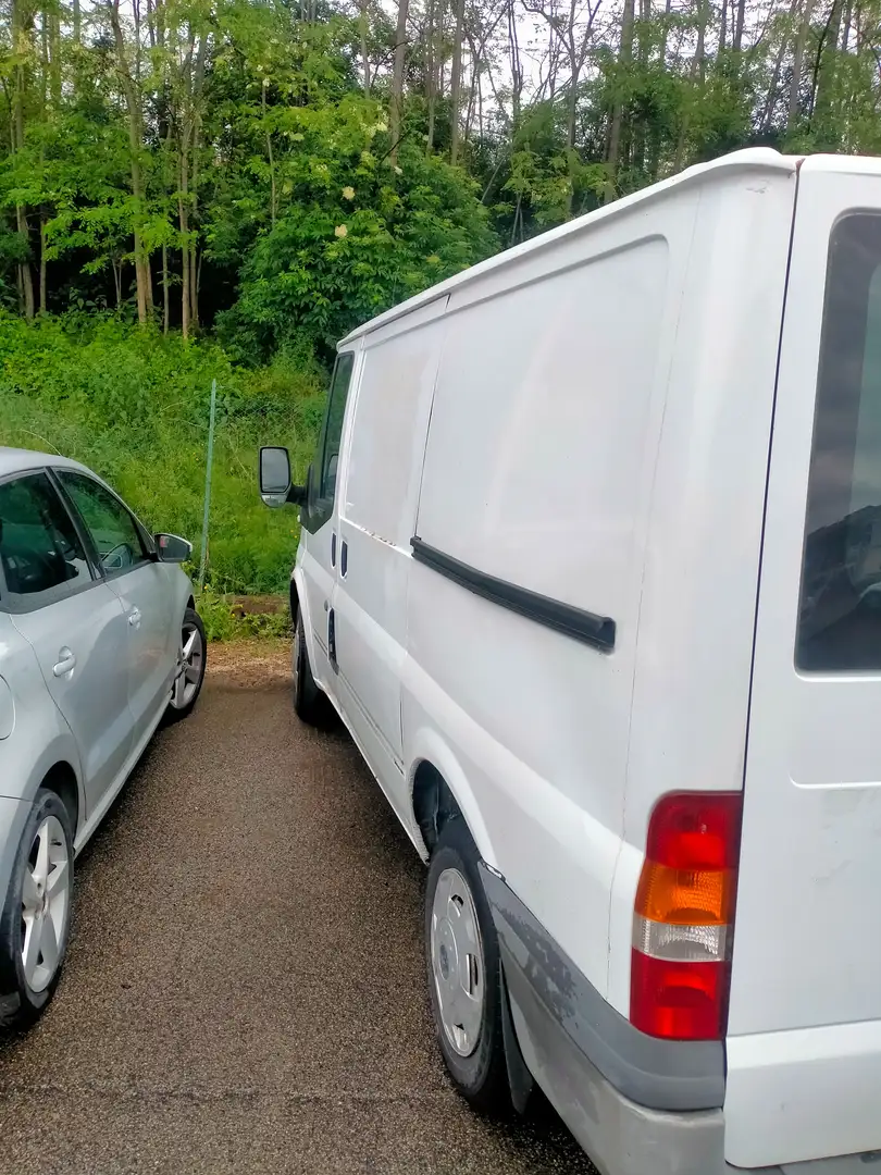 Ford Transit 260 2.200 cc Bianco - 2