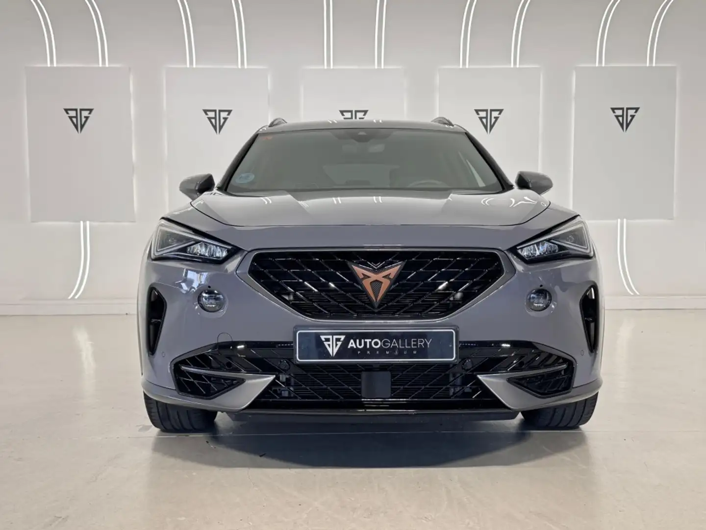 CUPRA Formentor 2.0 TSI 310 VZ DSG 4Drive Gris - 2