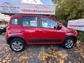 Fiat Panda Panda III 2012 4x4 1.3 mjt 16v 4x4 75cv Rood - thumbnail 5