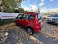 Fiat Panda Panda III 2012 4x4 1.3 mjt 16v 4x4 75cv Rood - thumbnail 6