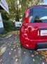Fiat Panda Panda III 2012 4x4 1.3 mjt 16v 4x4 75cv Rood - thumbnail 21