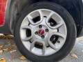 Fiat Panda Panda III 2012 4x4 1.3 mjt 16v 4x4 75cv Rood - thumbnail 20