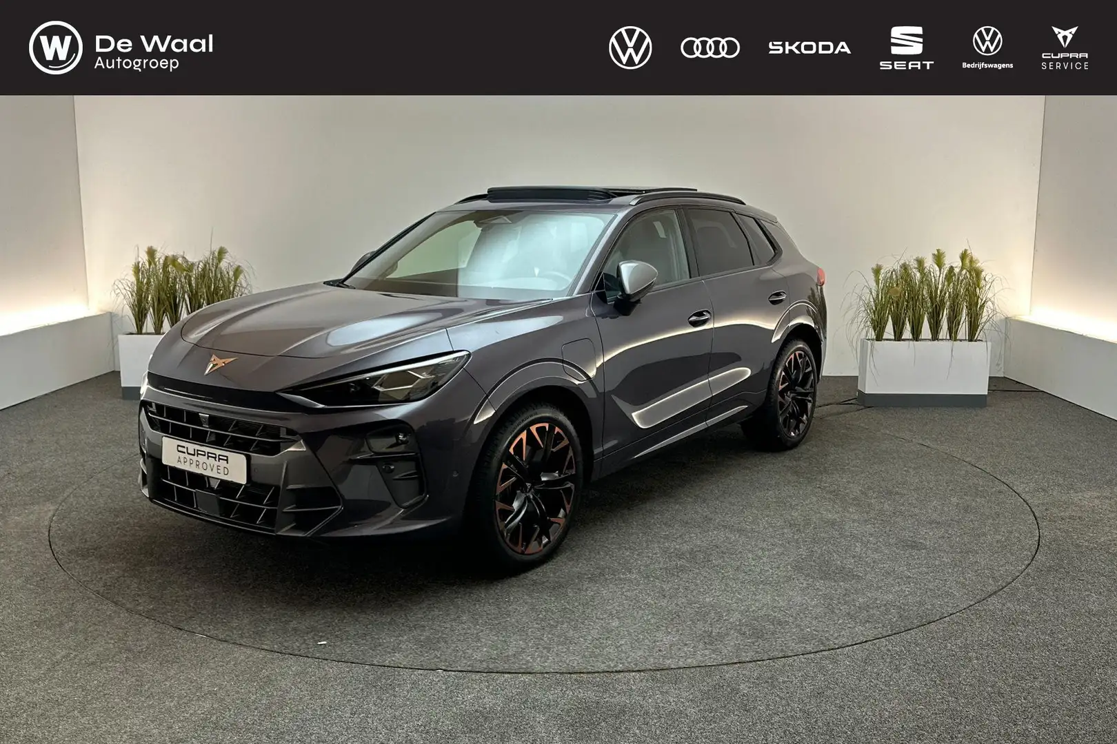 CUPRA Terramar 1.5 TSI 272pk DSG e-Hybrid VZ Performance | Sennhe Mauve - 1