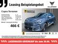 CUPRA Terramar 2.0 TSI 4D VZ DSG *PANO*MATRIX*HuD*ACC* Grau - thumbnail 1