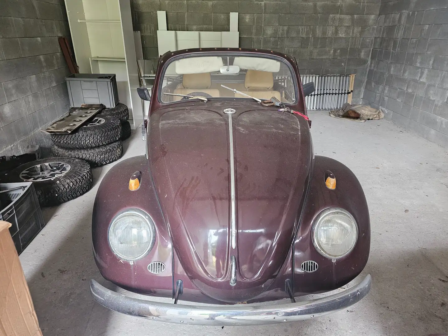 Volkswagen Coccinelle Brun - 2