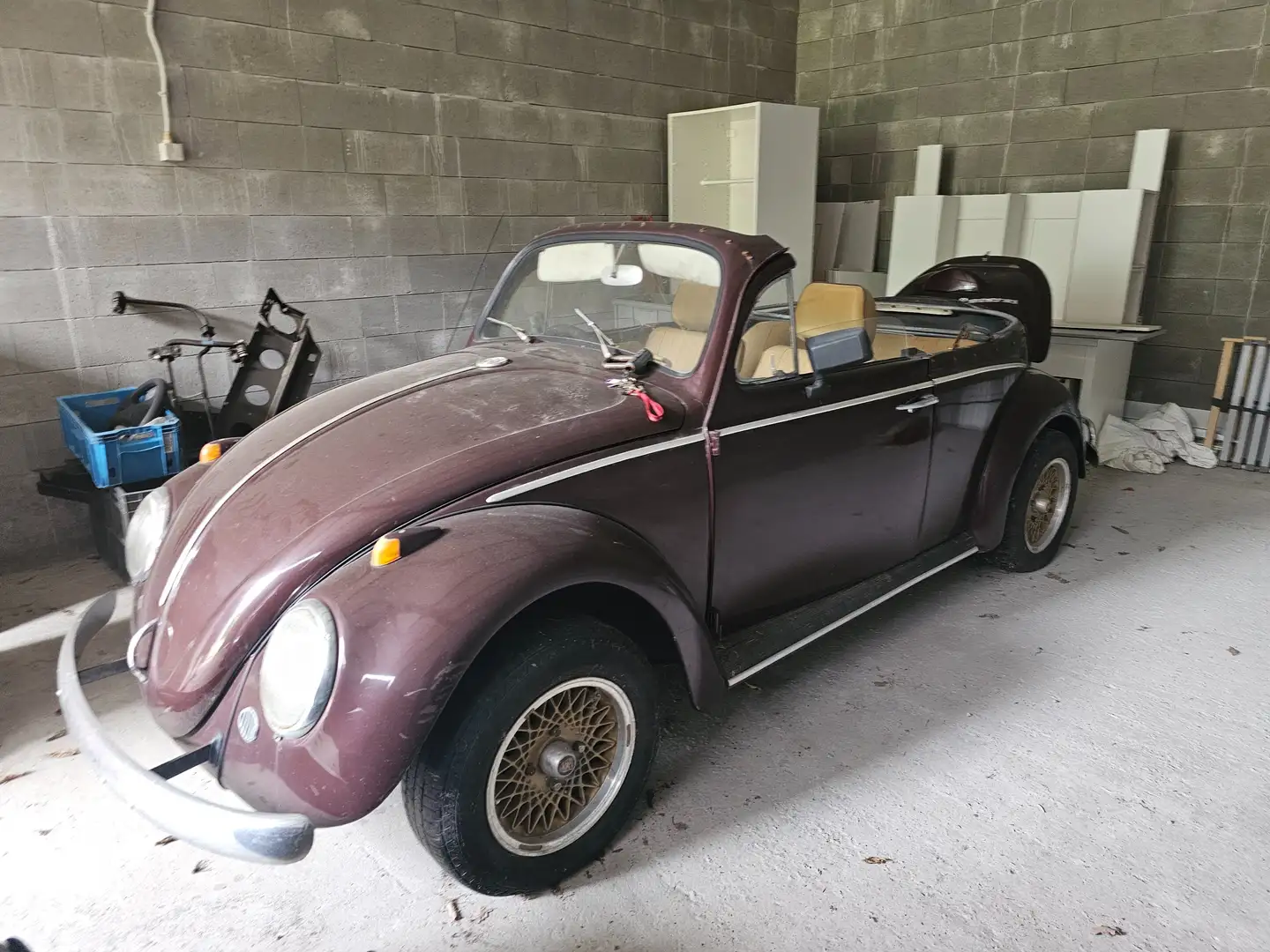 Volkswagen Coccinelle Brun - 1