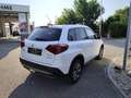 Suzuki Vitara 1,4 GL+ DITC Hybrid shine Weiß - thumbnail 4
