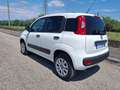 Fiat Panda VAN 85cv 4x4 Benzina con CASSETTIERA Wit - thumbnail 7