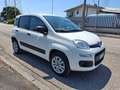Fiat Panda VAN 85cv 4x4 Benzina con CASSETTIERA Wit - thumbnail 3