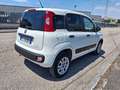 Fiat Panda VAN 85cv 4x4 Benzina con CASSETTIERA Wit - thumbnail 4