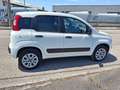 Fiat Panda VAN 85cv 4x4 Benzina con CASSETTIERA Wit - thumbnail 5