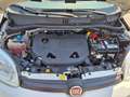 Fiat Panda VAN 85cv 4x4 Benzina con CASSETTIERA Wit - thumbnail 25