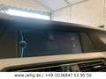 BMW 525 Xenon Navi+ Vollleder Pano Si-Hz SpoSi Tempo Gris - thumbnail 12