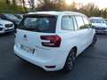 Citroen Grand C4 SpaceTourer PURETECH 130CH S\u0026S BUSINESS E6.D-TEMP Blanc - thumbnail 2