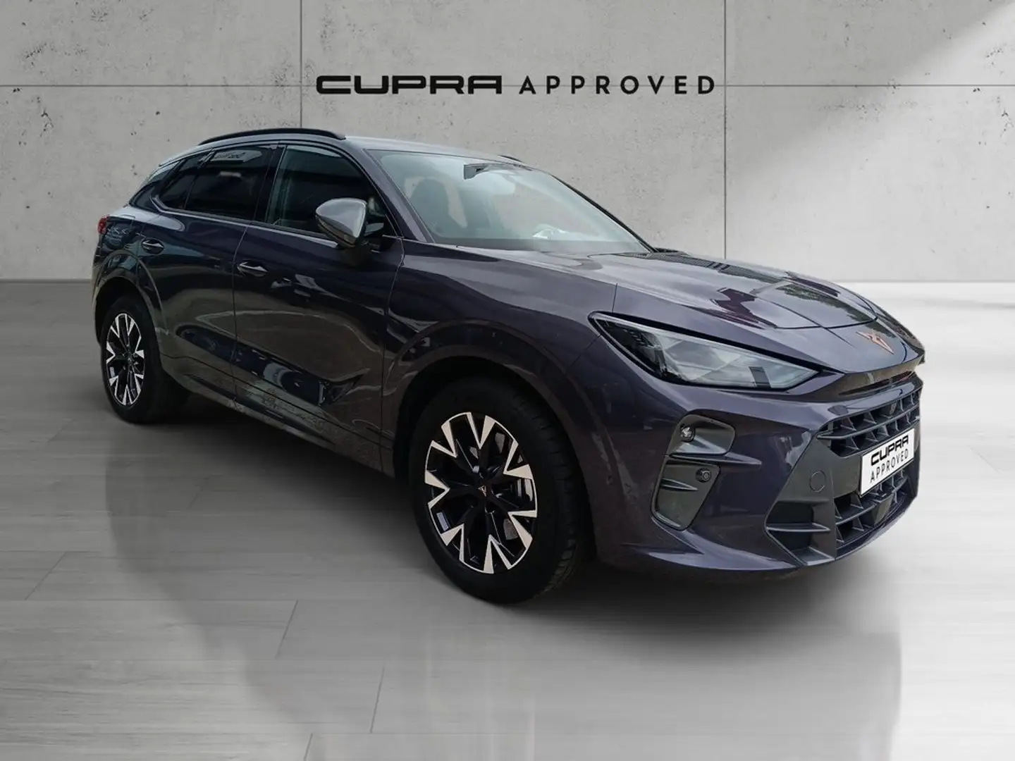 CUPRA Terramar 1.5 TSI e-Hybrid 150kW DSG Gris - 1