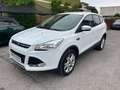 Ford Kuga 2.0 TDCI 150 CV S&S 4WD Powershift Titanium Bianco - thumbnail 2
