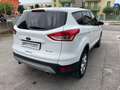 Ford Kuga 2.0 TDCI 150 CV S&S 4WD Powershift Titanium Bianco - thumbnail 4