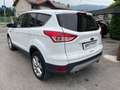 Ford Kuga 2.0 TDCI 150 CV S&S 4WD Powershift Titanium Blanc - thumbnail 8