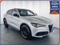 Alfa Romeo Stelvio Stelvio 2.0 Turbo 280 CV AT8 Q4 Veloce Grigio - thumbnail 1
