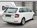 Skoda Fabia Combi 1.0 TSI Active *BT*DAB*16 ZOLL ALU Klima Blanco - thumbnail 5