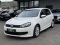 Volkswagen Golf 5p 1.6 tdi Comfortline - thumbnail 1