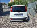 Fiat Panda 0.9 t.air t. natural power Young 80cv E6 Bianco - thumbnail 3