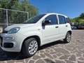 Fiat Panda 0.9 t.air t. natural power Young 80cv E6 Bianco - thumbnail 6